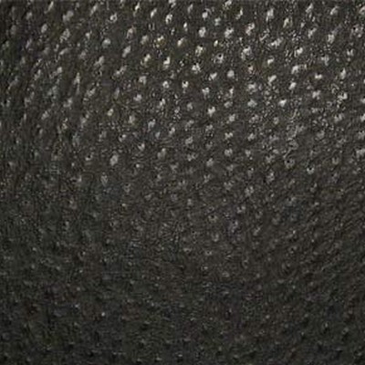 Maxwell Fabrics PHOENIX(CONTRACT VINYL) # 003 CAVIAR