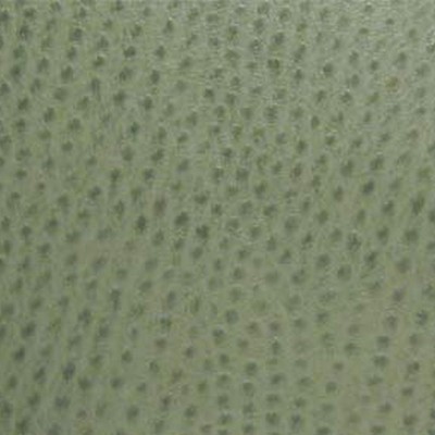 Maxwell Fabrics PHOENIX(CONTRACT VINYL) # 006 DRIZZLE