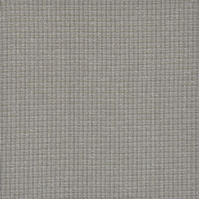 Maxwell Fabrics PERIMETER                      371 AFRICAN GREY       