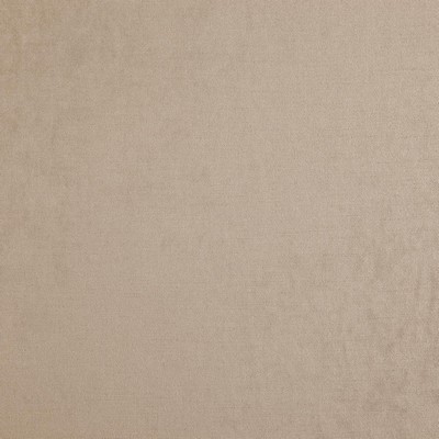 Maxwell Fabrics PADDINGTON                     8110 LINEN             