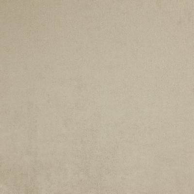 Maxwell Fabrics PROUD                          8101 PARCHMENT         