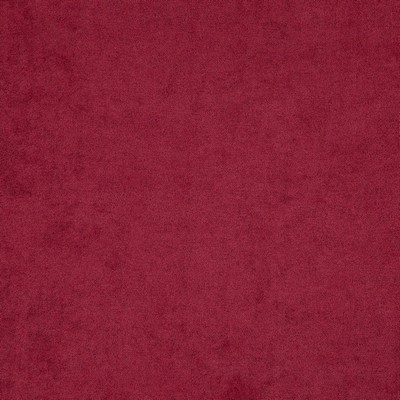 Maxwell Fabrics PROUD                          8134 RASPBERRY         