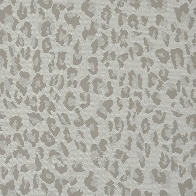 Maxwell Fabrics PANTHERA                       738 STONE              