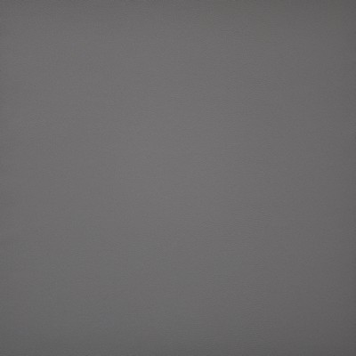 Maxwell Fabrics PINTO                          706 FLINTSTONE         