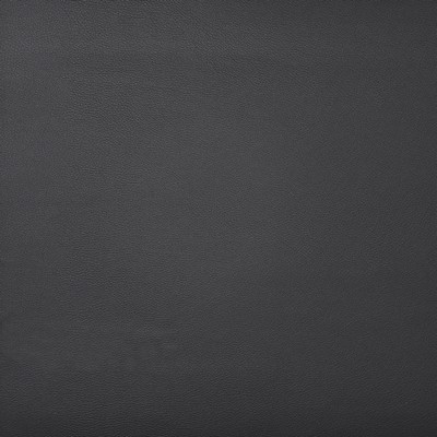 Maxwell Fabrics PINTO                          713 EBONY              