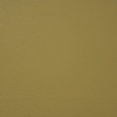 Maxwell Fabrics PINTO                          726 SUNFLOWER          