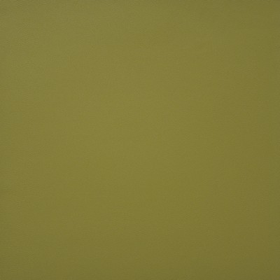 Maxwell Fabrics PINTO                          728 SPRING             