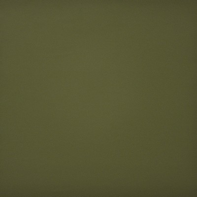 Maxwell Fabrics PINTO                          730 OREGANO            