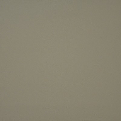 Maxwell Fabrics PINTO                          733 BONE               