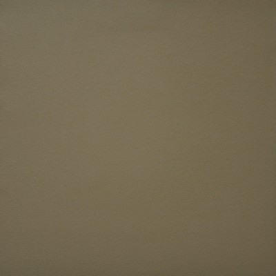 Maxwell Fabrics PINTO                          738 DOE                