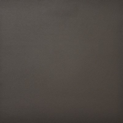 Maxwell Fabrics PINTO                          742 PEAT               