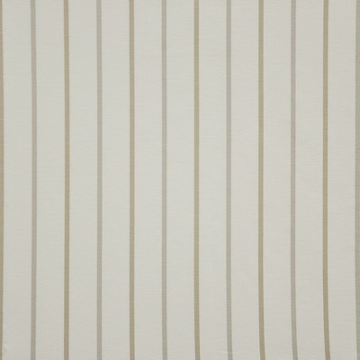 Maxwell Fabrics PARALLEL LINES                 # 730 BISCOTTI           