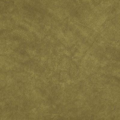 Maxwell Fabrics PLATO                          # 34 LIZARD              