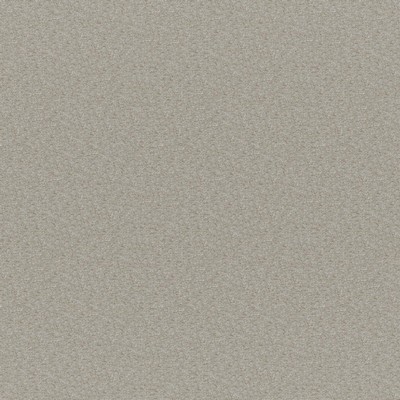 Maxwell Fabrics PATAGONIA # 216 RATTAN