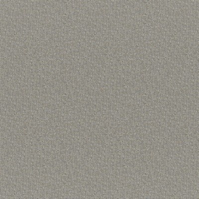 Maxwell Fabrics PATAGONIA # 248 PEPPER