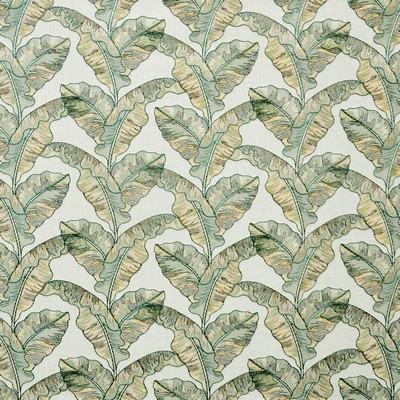 Maxwell Fabrics PALM GROVE # 621 AMAZON