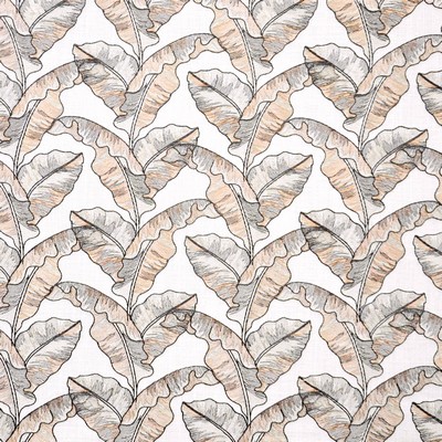 Maxwell Fabrics PALM GROVE # 636 ROSY