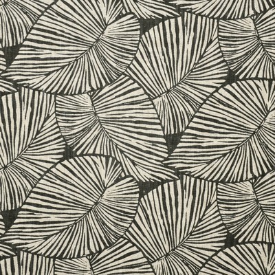 Maxwell Fabrics QUEEN PALM # 703 CHARCOAL