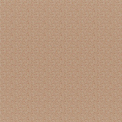 Maxwell Fabrics QUINTERO # 541 CLEMENTINE