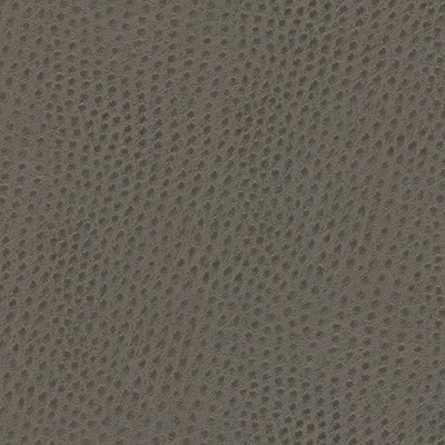 Maxwell Fabrics QUILL-NJ # 873 SHARK