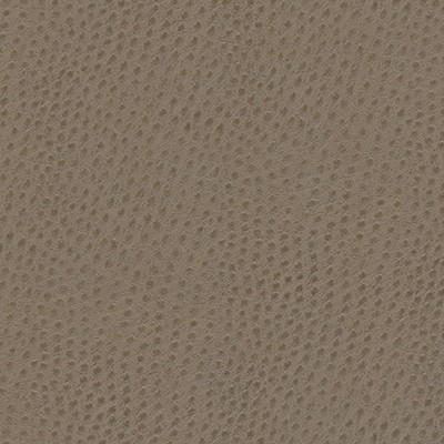 Maxwell Fabrics QUILL-NJ # 883 MUSGUM