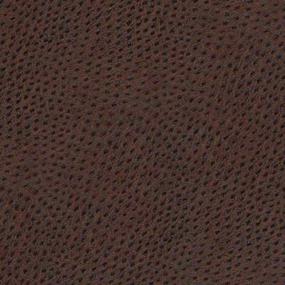 Maxwell Fabrics QUILL-NJ # 884 WALNUT