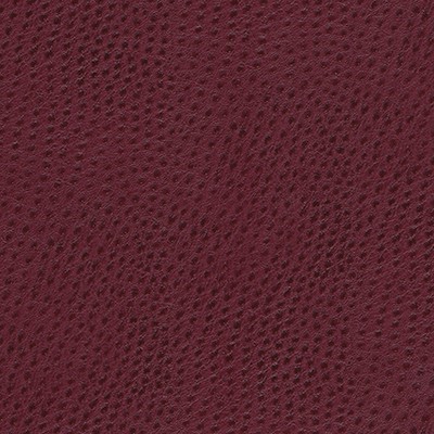 Maxwell Fabrics QUILL-NJ # 890 BRAMBLE