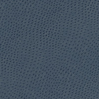 Maxwell Fabrics QUILL-NJ # 891 BLACKTHORN