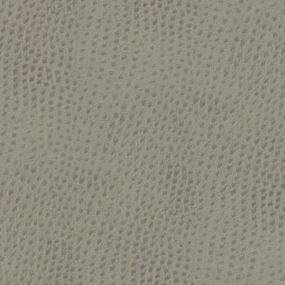 Maxwell Fabrics QUILL-NJ # 896 MIRROR