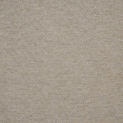 Maxwell Fabrics QUEENSWOOD 749 BIRCH