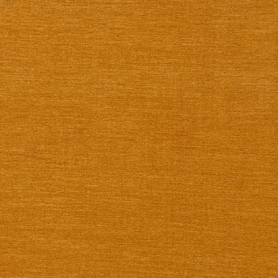Maxwell Fabrics RAVE 624 CANTALOUPE