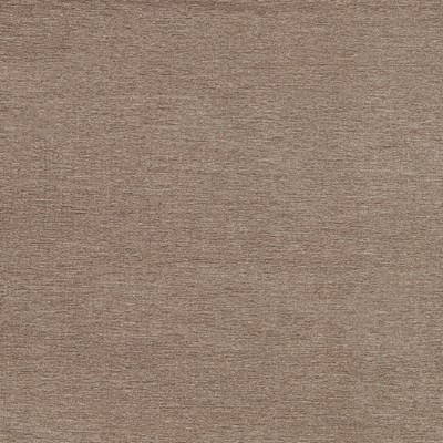 Maxwell Fabrics RAVE 641 DOVE