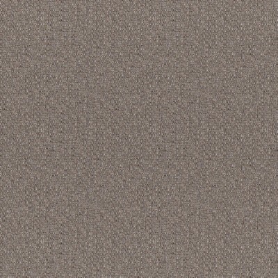 Maxwell Fabrics ROCKHOPPER # 255 OTTER