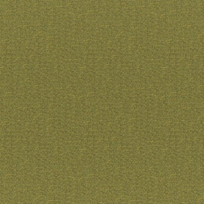 Maxwell Fabrics ROCKHOPPER # 833 FERN