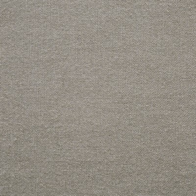 Maxwell Fabrics REX # 810 PEANUT