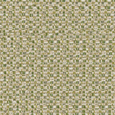 Maxwell Fabrics RAMON # 212 ZEST