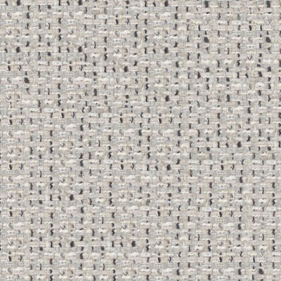 Maxwell Fabrics RAMON # 325 KOALA