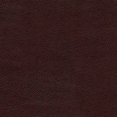 Maxwell Fabrics RAMBUTAN-NJ # 759 TEMPRANILLO