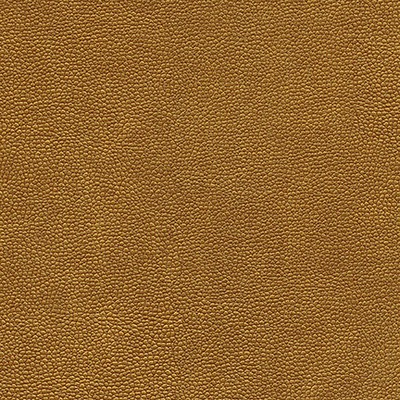 Maxwell Fabrics RAMBUTAN-NJ # 760 AGE