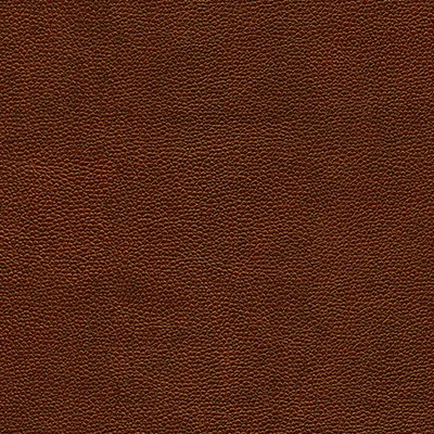 Maxwell Fabrics RAMBUTAN-NJ # 763 MAHOGANY