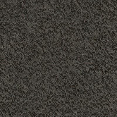 Maxwell Fabrics RAMBUTAN-NJ # 781 WILTSHIRE