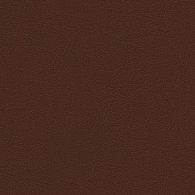 Maxwell Fabrics RUGGED-NJ # 501 CORRODED