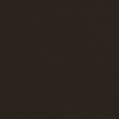 Maxwell Fabrics RUGGED-NJ # 504 TEA