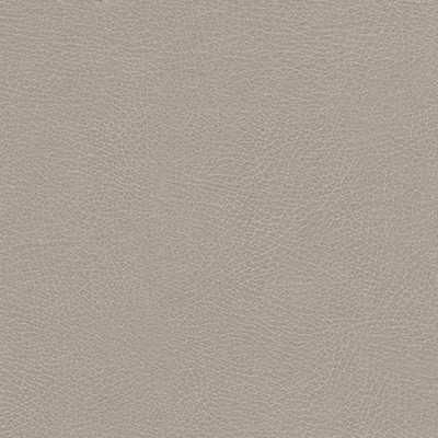 Maxwell Fabrics RUGGED-NJ # 505 GREIGE