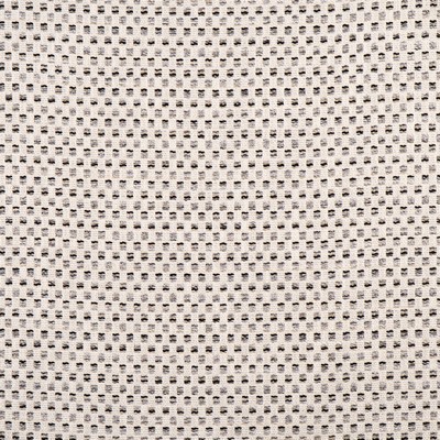 Maxwell Fabrics RUSSELL # 705 SHADOW