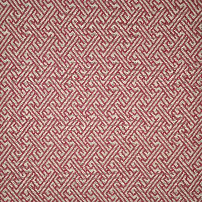 Maxwell Fabrics SCENIC ROUTE                   5 PINK                 