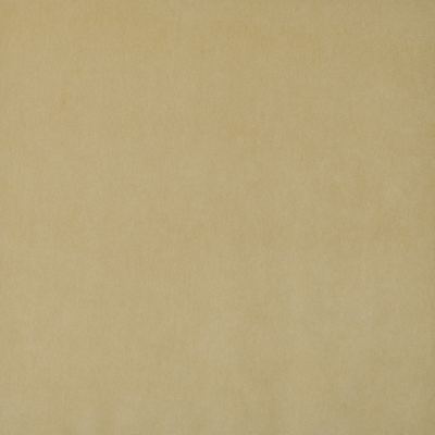 Maxwell Fabrics SNUG                           425 PINEAPPLE          