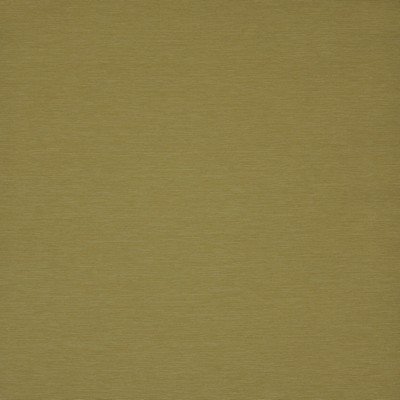 Maxwell Fabrics SALTY DOG                      838 MUSTARD            