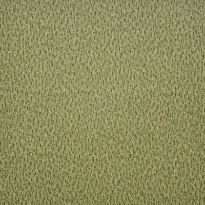 Maxwell Fabrics SPOTLIGHT                      212 GRASSLANDS         