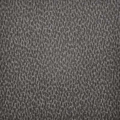 Maxwell Fabrics SPOTLIGHT                      243 ASH                